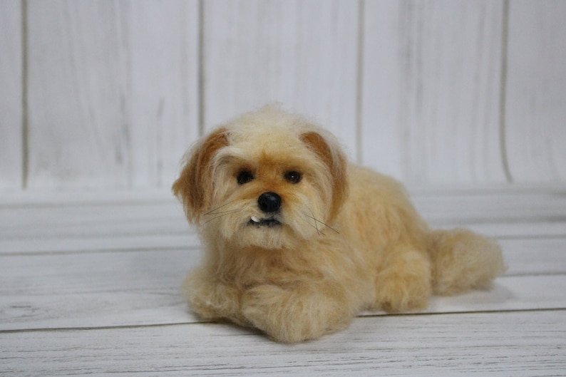 Individuelles Haustierporträt aus Filz, Miniatur-Haustierporträt aus Filz (Shih Tzu, Malteser), Geschenk für Hundeliebhaber, alle Hunderassen auf Bestellung Bild 8