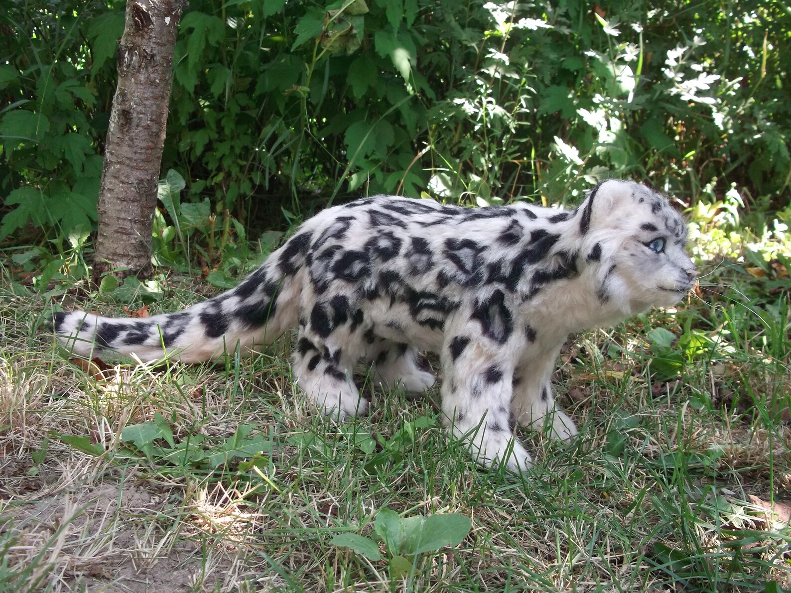 Snow Leopard Needle Felted Snow Leopard Felt Cat Needle - Etsy