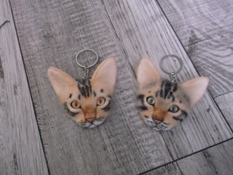 custom pet portrait cat cat felted needle felted cat cat portrait Brooch cat