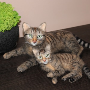 Op de afbeelding: Twee gevilte tabby-katten, een groter dan de andere, liggen op een donker houten oppervlak. De grotere kat ligt op zijn zij met zijn kop op de rug van de kleinere kat. Beide katten hebben groene ogen en kijken naar de camera.