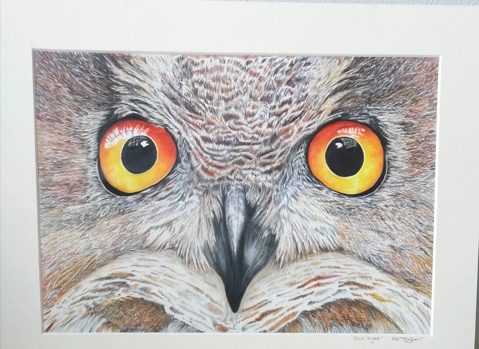 Owl eyes realistic art Etsy.de