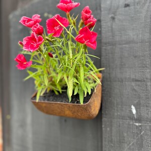 Vintage Rusty Metal Wall Planter: Farmhouse Garden Decor
