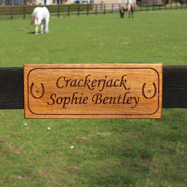 Stable Plaque