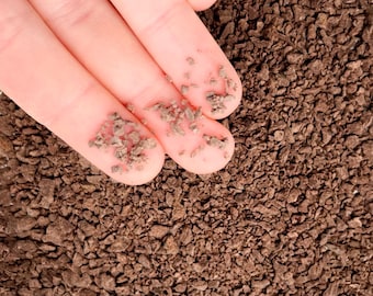 Chocolate Crumble Polymer Clay Fake Sprinkles for Miniature Dollhouse Candy Cake Decoration