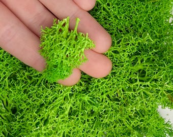 Parsley Garnish Fake Food for Miniature Dollhouse Plate Decorating