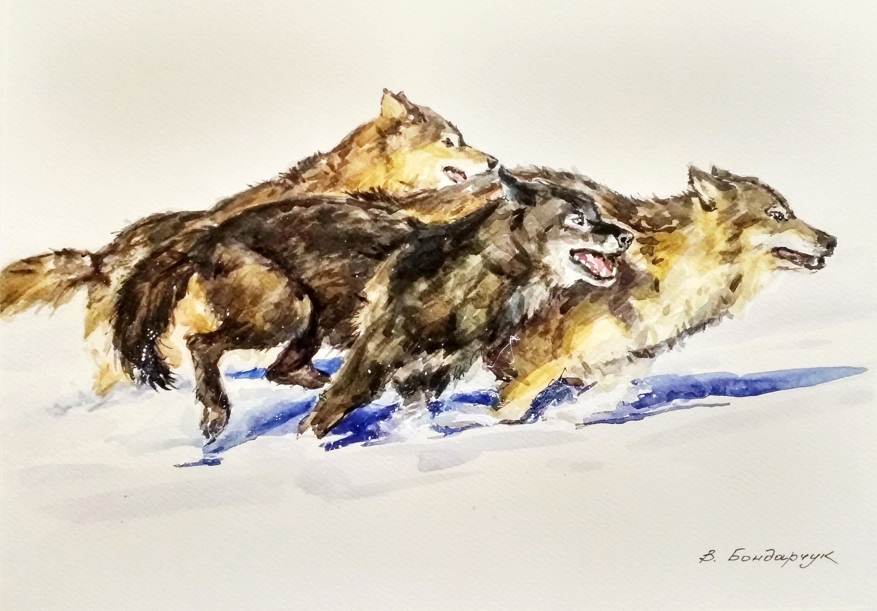 Running Wolf Pack Drawing