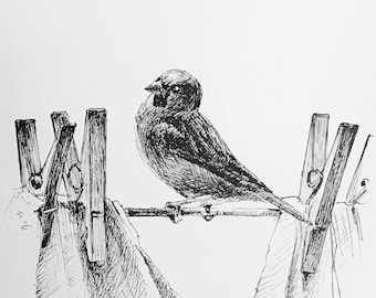 Sparrow on Clothesline: Original Minimalist Drawing in Black Marker for Wall Decor