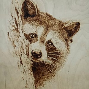 Raccoon. Unique picture Wood Burned Artwork: Stunning Realistic Drawing with Pyrography Technique