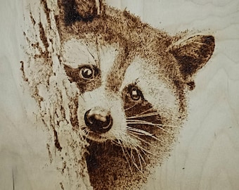Raccoon. Unique picture Wood Burned Artwork: Stunning Realistic Drawing with Pyrography Technique
