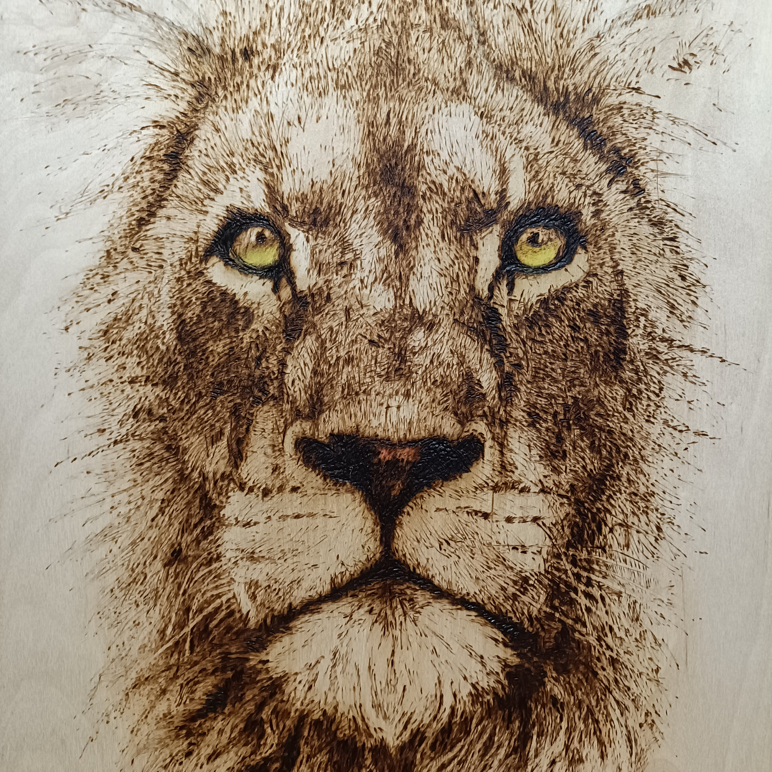 オリジナル焼き絵。ライオンの肖像画。ウッドバーニングアート - Etsy 日本