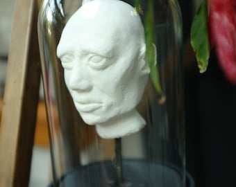Head under glass, made of plaster, decorative, cabinet of curiosities, unusual and unique item