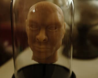 Head under glass, made of silicone, decorative, cabinet of curiosities, unusual and unique item