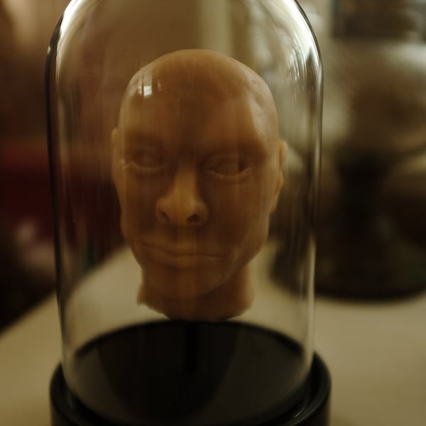 Tête sous cloche, réalisée en silicone, objet décoratif, cabinet de curiosité, objet insolite et unique