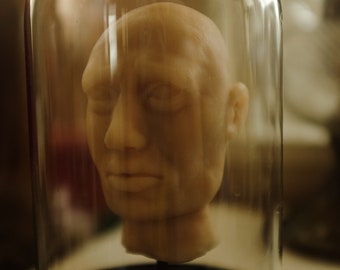 Head under glass, made of silicone, decorative, cabinet of curiosities, unusual and unique item