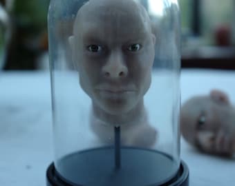 Head under glass, made of silicone, decorative, cabinet of curiosities and unusual, unique item