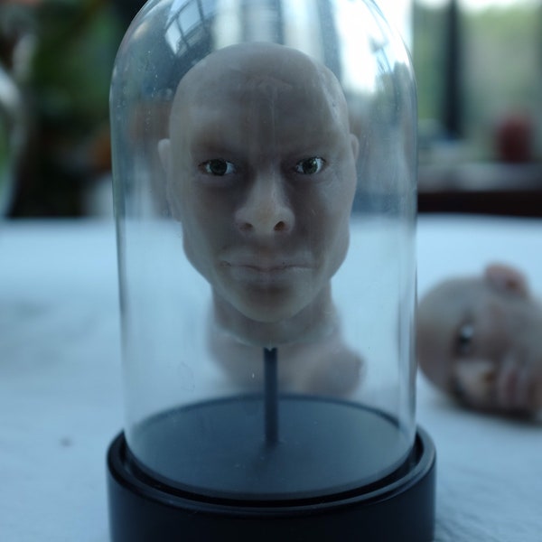 Tête sous cloche, réalisée en silicone, objet décoratif, cabinet de curiosité, objet insolite, unique