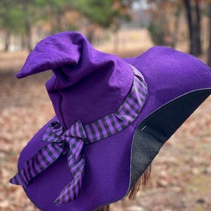 May include: A purple witch hat with a pointed crown and wide brim. The hat features a black and purple checkered ribbon tied in a bow around the base of the crown. The underside of the brim is black.