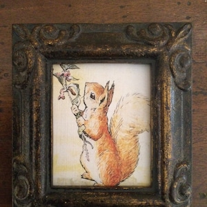 May include: A framed illustration of a squirrel holding a branch with berries. The squirrel is brown and white with a bushy tail. The frame is dark brown with ornate details.