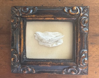 HAND CRAFTED plaster relief of bird.