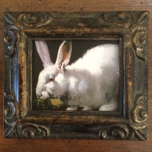 HAND PAINTED MINIATURE on  a canvas print of white bunny