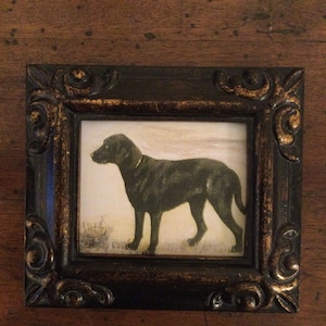 MINIATURE PAINTING on  a canvas print of vintage painting of Labrador.