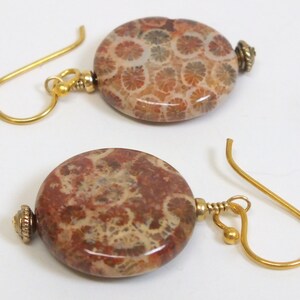 May include: A pair of gold earrings with round, brown and white fossilized coral stones. The stones have a unique pattern and are attached to gold hooks.