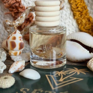 Coconut Car Diffuser