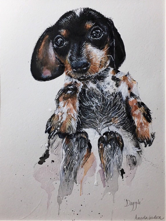 Dapple Miniature Dachshund Puppy Mounted Original Painting Etsy