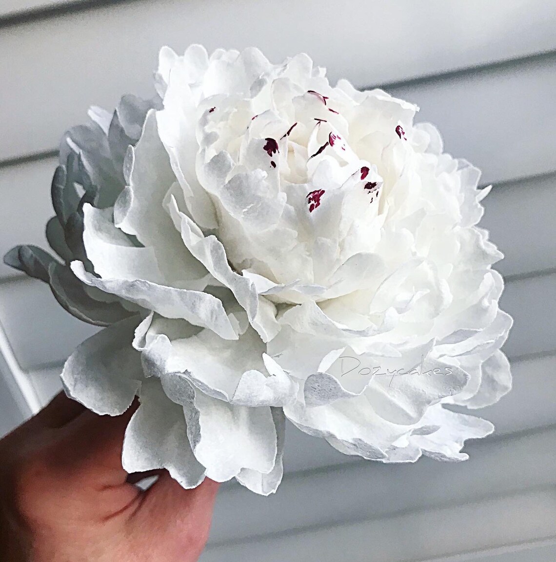 Edible Wafer Paper Peony Etsy