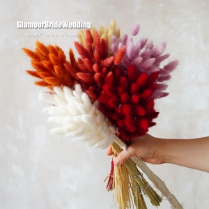 Dried Bunny Tail Grass Bundle: Natural Boho Wedding Decor (50-60 Stems)