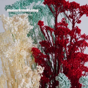 Bündel konservierte REISBLUME Pflanze | verschiedene Farbe | Getrocknete Blumen | DIY Hochzeit Boho Decor Crafts Arrangement Korb Blumenmuster