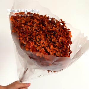 High Quality LARGE Head Preserved Hydrangeas|Dried Flowers|Natural Arrangement,DIY Wedding