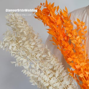 Bleached Preserved Ruscus - White / Rustic Home Decor / Dried Flowers Wholesale
