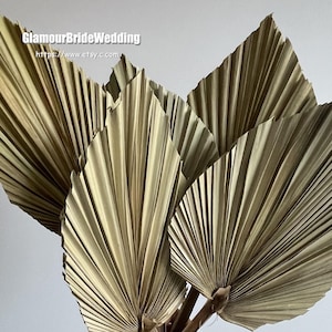 2 Hastes Secas Natural Palm Spear Fan | Design Floral de Flores Secas | Arranjo Boho | Buquê de Casamento de Flores Secas DIY
