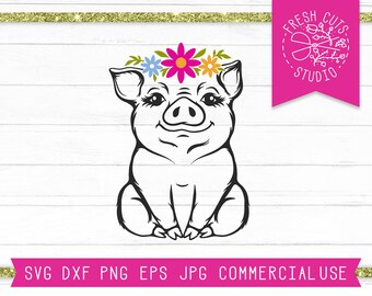 Download Baby Pig Svg Etsy