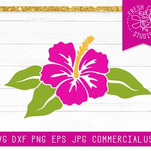 Hawaiian Flower svg, Hibiscus SVG Cut File, Hibiscus Clipart, Hawaii SVG for Cricut, Tropical Flower Png, Flower of Hawaii Sublimation File