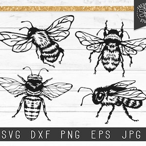 Bee SVG Cut File, Bee Clipart, Bumble Bee Svg, Honey Bee Svg, Vintage Summer Svg, Vintage Bee Svg Silhouettes, voor Cricut, Instant Download