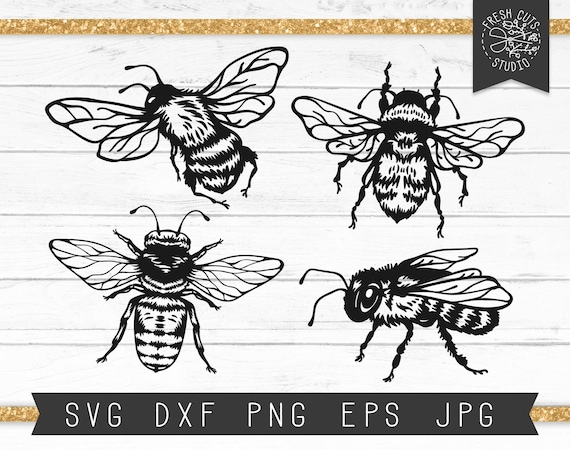 Bee Svg Cut File Bee Clipart Bumble Bee Svg Honey Bee Svg Etsy