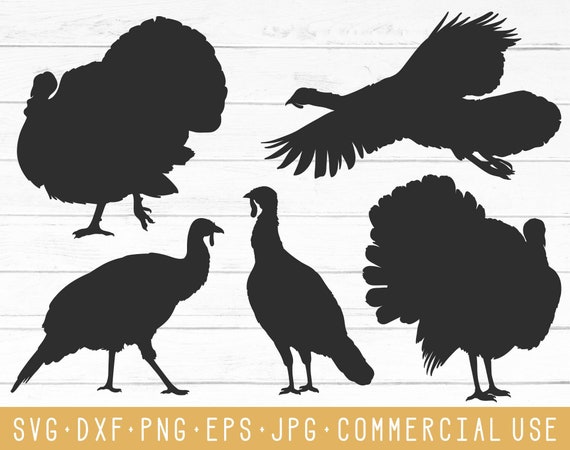 Download Turkey Mandala Svg Free For Silhouette - SVG Layered - Download free open source SVG graphics ...