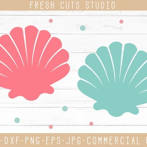 Seashell Svg Design Cut Files, Instant Download for Cutting Machines, Cricut, Cameo, Silhouette, Nautical Shells Clipart, Dxf Png Vector