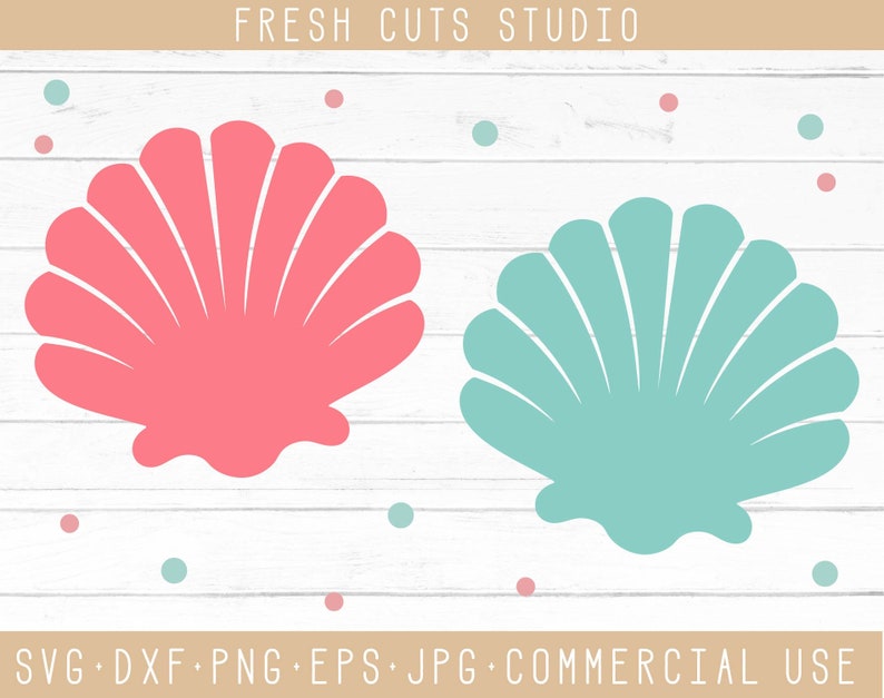 Download Seashell Svg Design Cut Files Instant Download for Cutting | Etsy