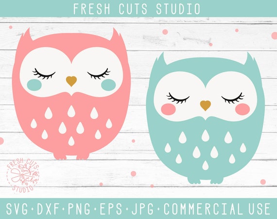 Download Owl Svg Cut Files Instant Download Design Cutting Files Baby Etsy