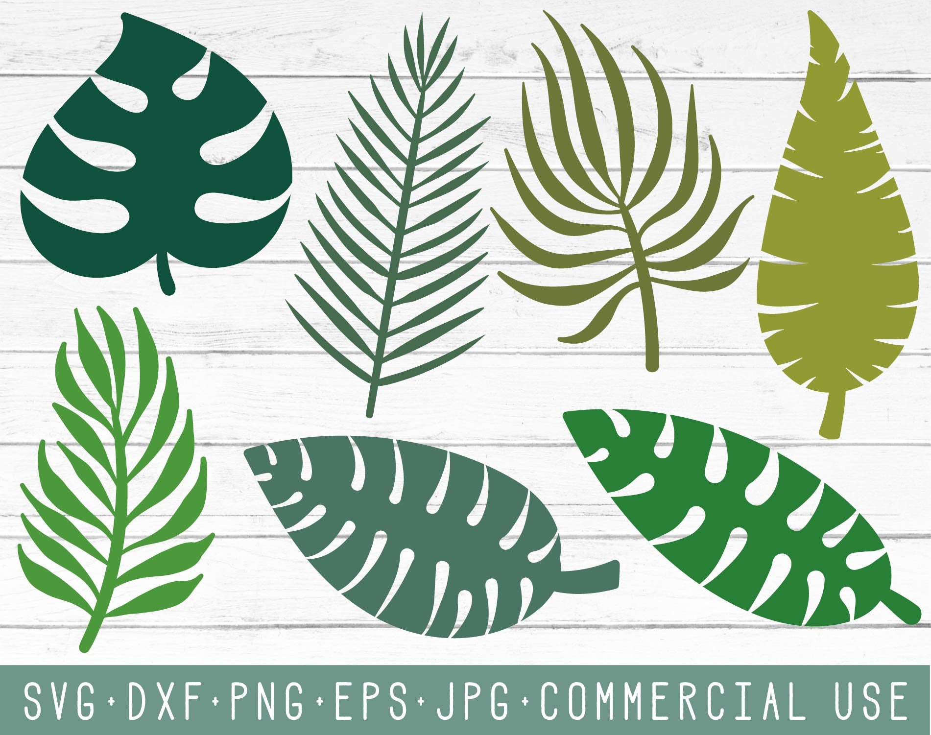 Download Tropical Svg Leaves Cut Files Tropical Palm Fronds Svg Etsy
