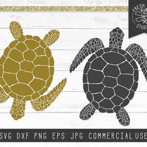 Sea Turtle SVG Cut File Instant Download, Ocean Animal, Beach, Summer, Realistic Sea Turtle Silhouette, Png for Sublimation, Print File