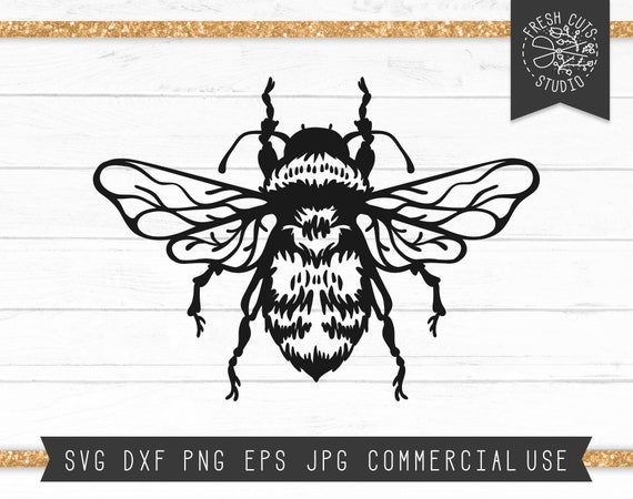 Download Bee Svg Cut File Instant Download Design Cutting Files For Etsy