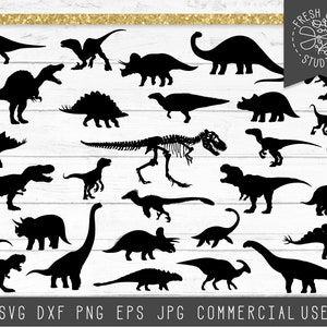 Dinosaur SVG Bundle, Trex Svg, Brontosaurus Cut File, Dinosaur Silhouette Cut Files for Cricut, Stegosaurus, Jurassic T-rex Skeleton Svg Png