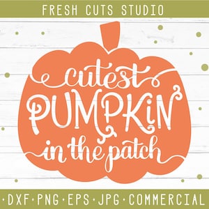 May include: Orange pumpkin silhouette with the text "cutest pumpkin in the patch" in white.