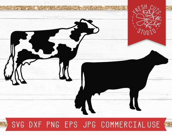 Download Cow Svg Instant Download Dairy Cow Cut File For Cricut Cow Etsy