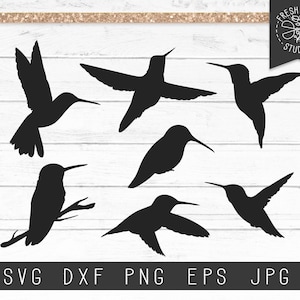 Hummingbird SVG File, Instant Download, Hummingbird Silhouettes, Hummingbird Cut Files for Cricut, SVG Bundle, Dxf Png Jpg