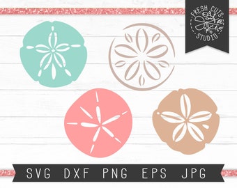 Sand Dollar SVG Cut File Instant Download, Sand Dollar Cut Files for Cricut, Beach Silhouette Svg, Die Cut File, Shell Svg Dxf Png Jpg Eps